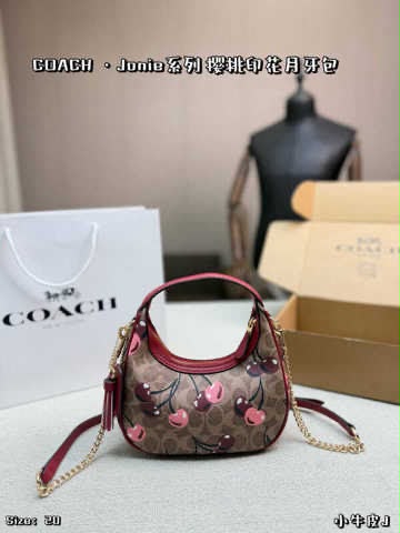 COACH Carmen Mini Crossbody Bag – Cherry Print